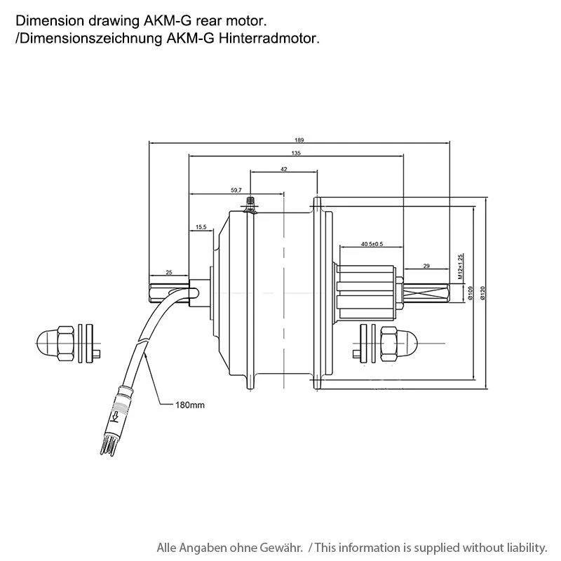 EBS V2 AKM-G Hinterradmotor 36V 250W 32 Speichenlöcher | Hochleistungs-Motor für E-Bikes 6 EBS V2 AKM-G Hinterradmotor 36V 250W 32 Speichenlöcher | Hochleistungs-Motor für E-Bikes – Bild 4